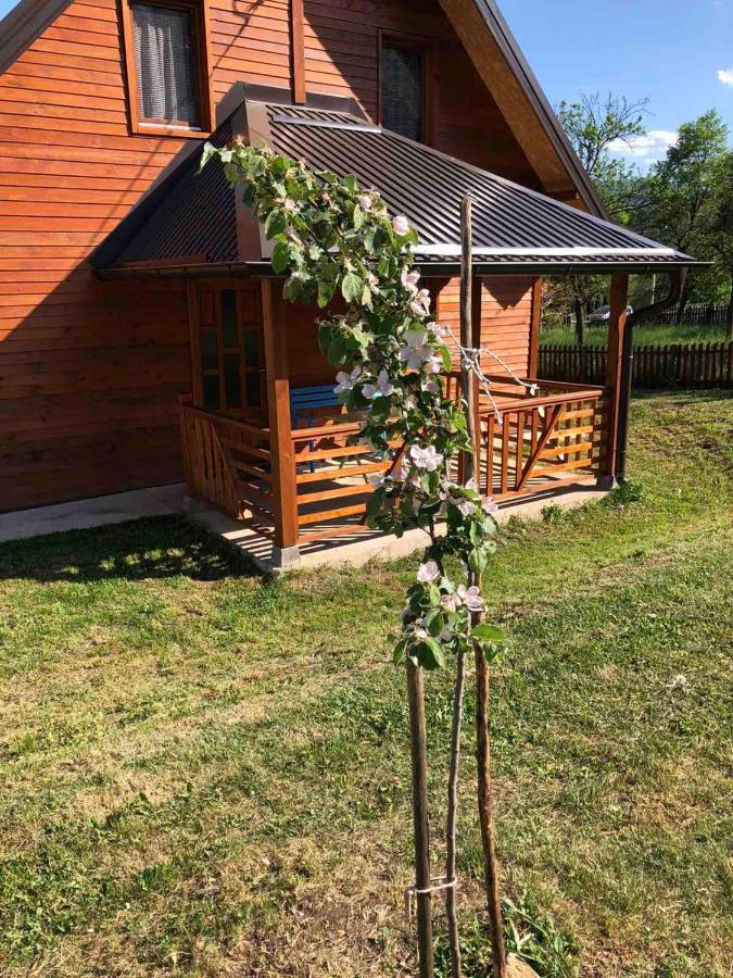 Apartmani Milekic Mokra Gora Extérieur photo